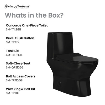 Ivy One Piece Toilet Dual Vortex Flush in Glossy Black 1.1/1.6 gpf