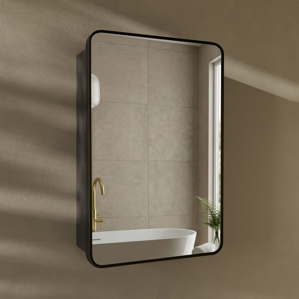 Pierre 20 x 30 Rectangle Recessed/Wall Mount Medicine Cabinet with Mirror in Matte Black
