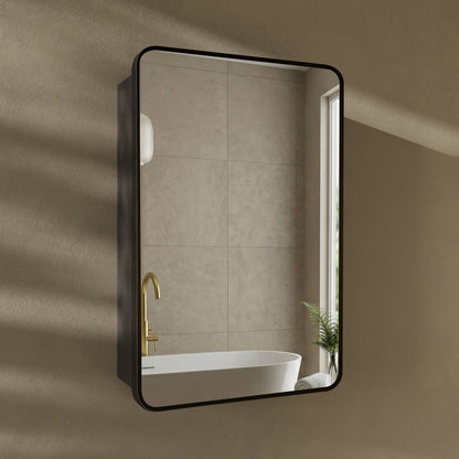 Pierre 20 x 30 Rectangle Recessed/Wall Mount Medicine Cabinet with Mirror in Matte Black