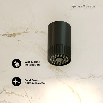 Lumiere 2-Spray Patterns 2.5 GPM Wall Mount Fixed Shower Head in Matte Black