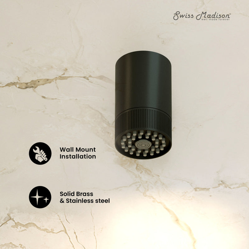 Lumiere 2-Spray Patterns 2.5 GPM Wall Mount Fixed Shower Head in Matte Black