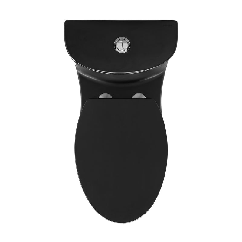 Sublime One-Piece Elongated Toilet Dual-Flush in Matte Black 1.1/1.6 gpf