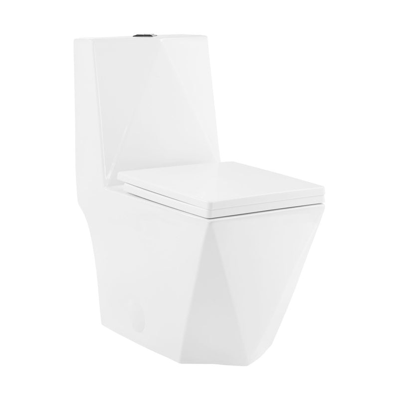 Brusque One-Piece Square Toilet Dual-Flush 1.1/1.6 gpf