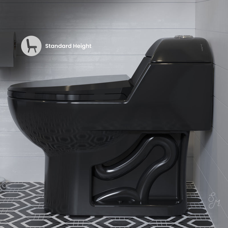 Chateau One-Piece Elongated Toilet Dual-Flush in Glossy Black 1.1/1.6 gpf