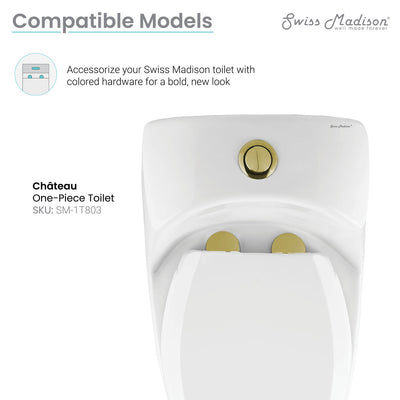 Toilet Hardware Brushed Gold (SM-1T803)