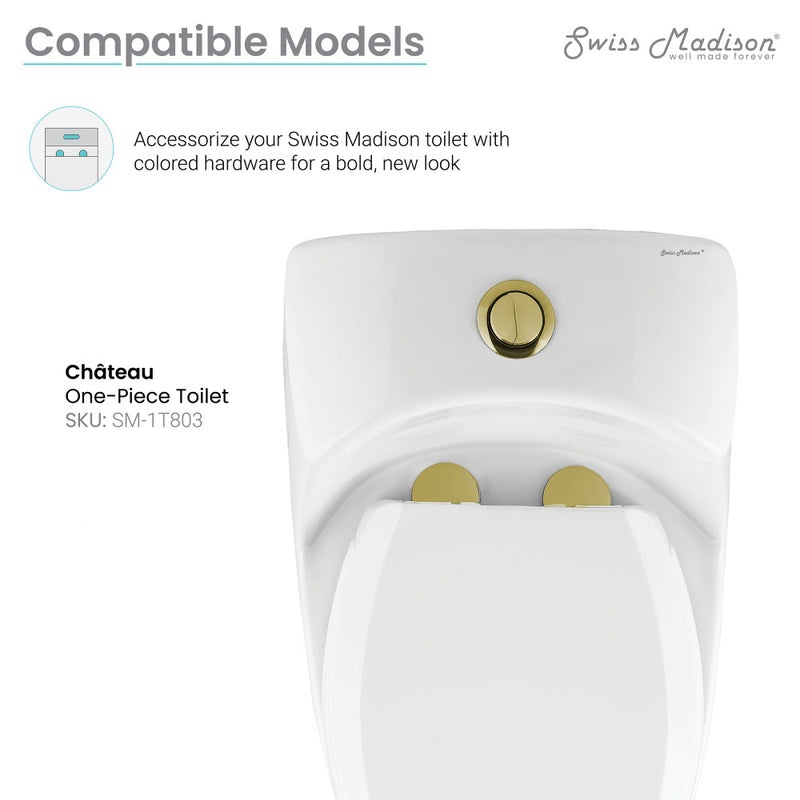 Toilet Hardware Brushed Gold (SM-1T803)