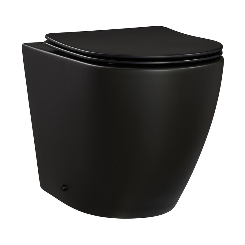 St. Tropez Back-to-Wall Toilet Bundle 0.8/1.6 GPF Dual Flush in Matte Black with Brass Flush Plate