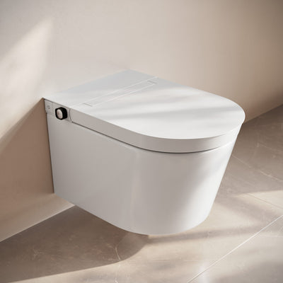 Hugo H Wall-Hung Toilet in Glossy White with Manual Bidet and Supporting Frame