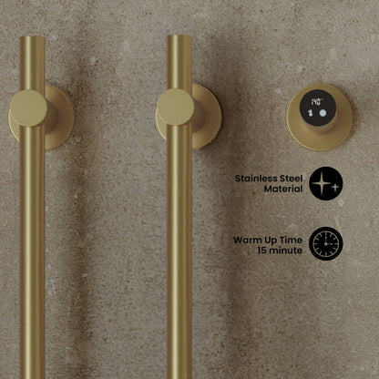 Monaco 2-Bar Electric Towel Warmer with Timer in Brushed Gold