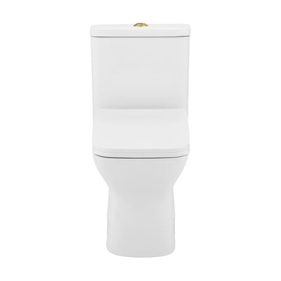 Carre One Piece Square Toilet Dual Flush, Brushed Gold Hardware 1.1/1.6 gpf