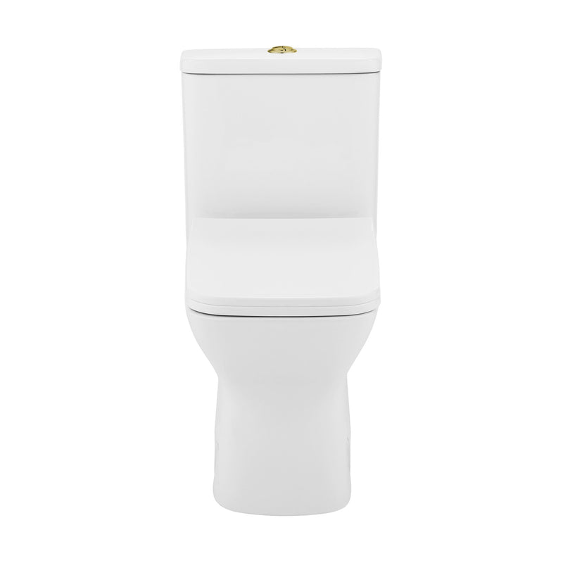 Carre One Piece Square Toilet Dual Flush, Brushed Gold Hardware 1.1/1.6 gpf