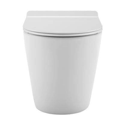 St. Tropez Back to Wall Concealed Tank Toilet Bowl, Black Hardware