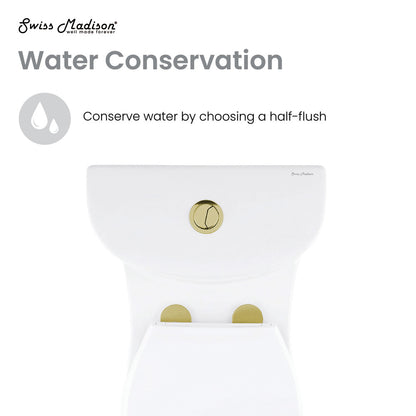 Elongated one-piece toilet with dual flush, white ceramic with brushed gold hardware.