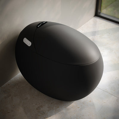 Plaisir Smart One-Piece 1.28 GPF Single Flush Toilet in Matte Black