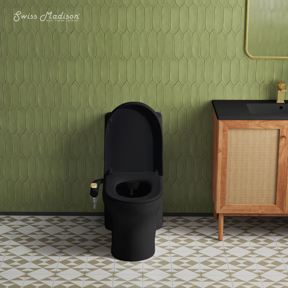 Aqua Non-Electric Bidet Toilet Attachment in Matte Black with Polished Gold Hardware