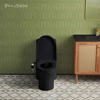 Aqua Non-Electric Bidet Toilet Attachment in Matte Black with Polished Gold Hardware