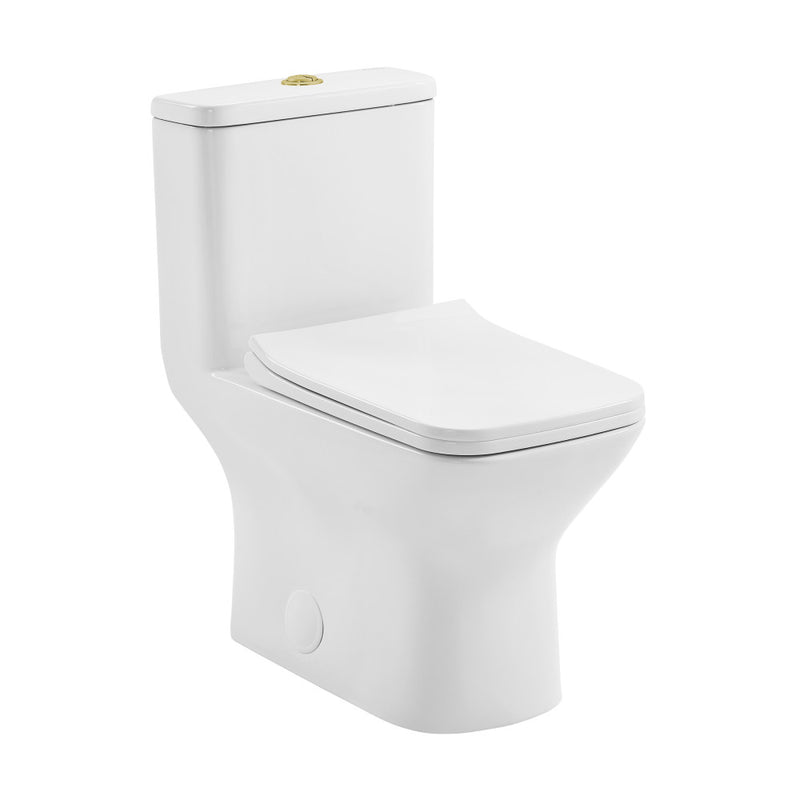 Carre One Piece Square Toilet Dual Flush, Brushed Gold Hardware 1.1/1.6 gpf