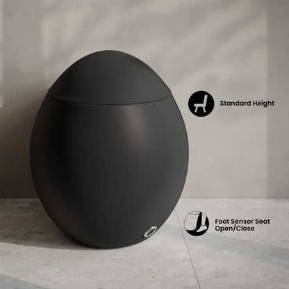 Plaisir Smart One-Piece 1.28 GPF Single Flush Toilet in Matte Black