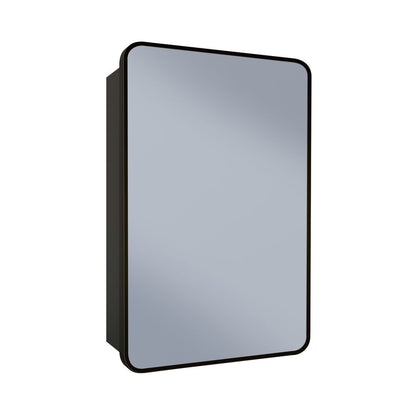 Pierre 20 x 30 Rectangle Recessed/Wall Mount Medicine Cabinet with Mirror in Matte Black
