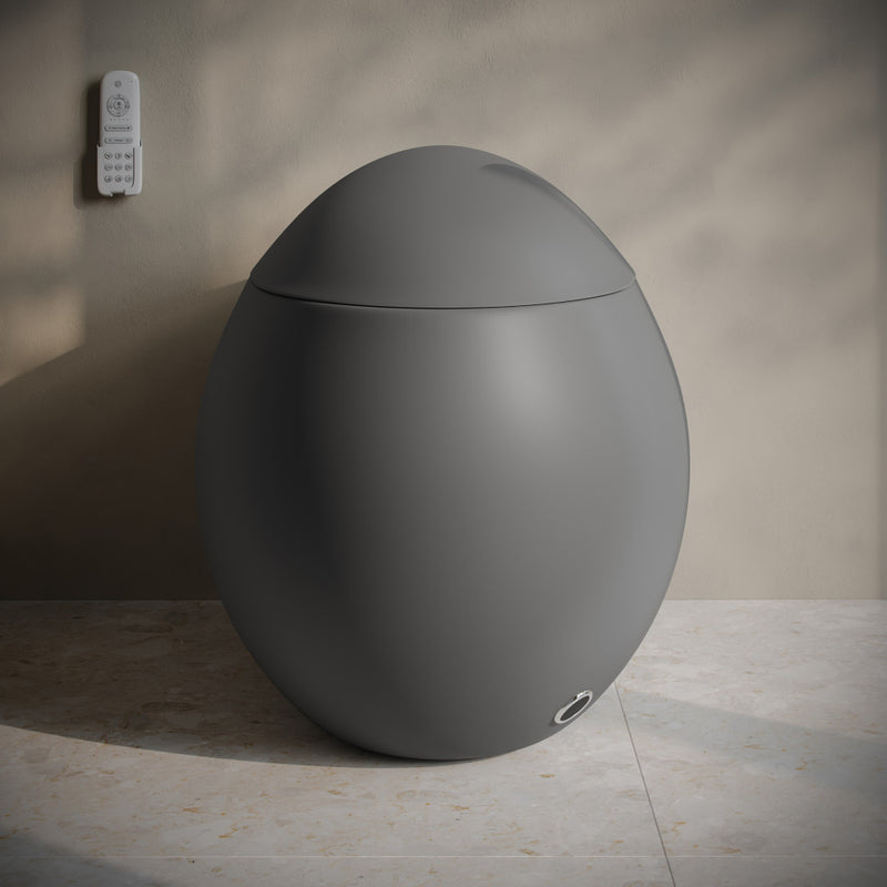 Plaisir Smart One-Piece 1.28 GPF Single Flush Toilet in Matte Gray