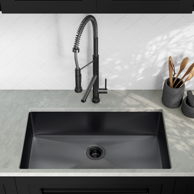 Rivage 32 x 19 Stainless Steel, Single Basin, Undermount Kitchen Sink, Black