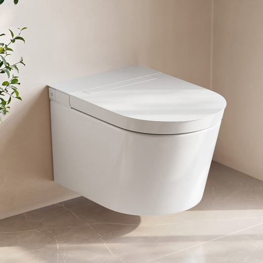 Hugo H Wall-Hung Toilet in Glossy White with Supporting Frame