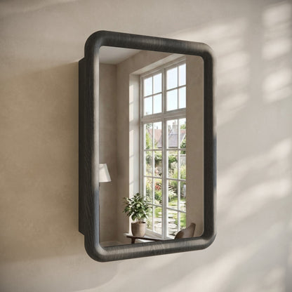 Plaisir 18 x 27 Recessed/Wall Mount Medicine Cabinet with Mirror in Black Oak