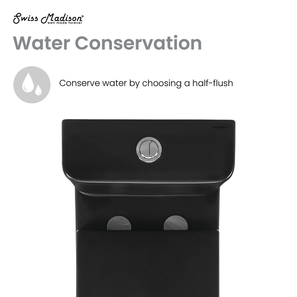 Elongated two-piece rear outlet toilet in matte black, dual-flush 0.8/1.28 gpf.