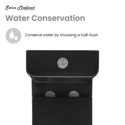 Elongated two-piece rear outlet toilet in matte black, dual-flush 0.8/1.28 gpf.