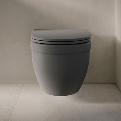 Ivy Wall-Hung Toilet Bowl Only in Matte Gray
