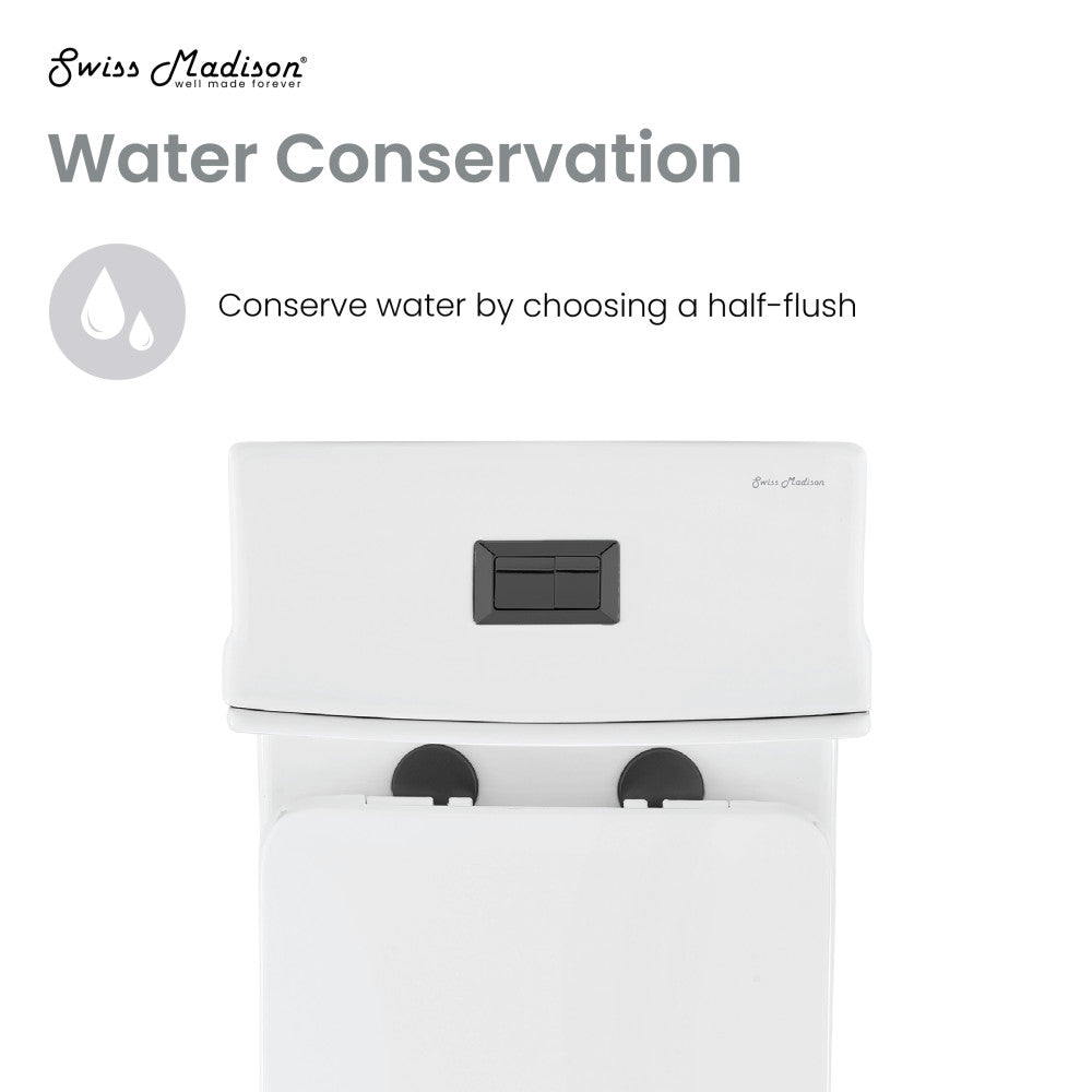 Elongated one-piece toilet, dual flush, black hardware, 1.1/1.6 gallons per flush.