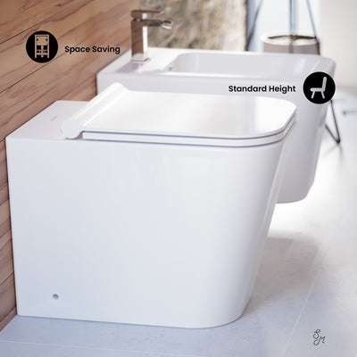 Concorde Back-to-Wall Toilet Bundle 0.8/1.6 GPF Dual Flush in Glossy White with Brass Flush Plate