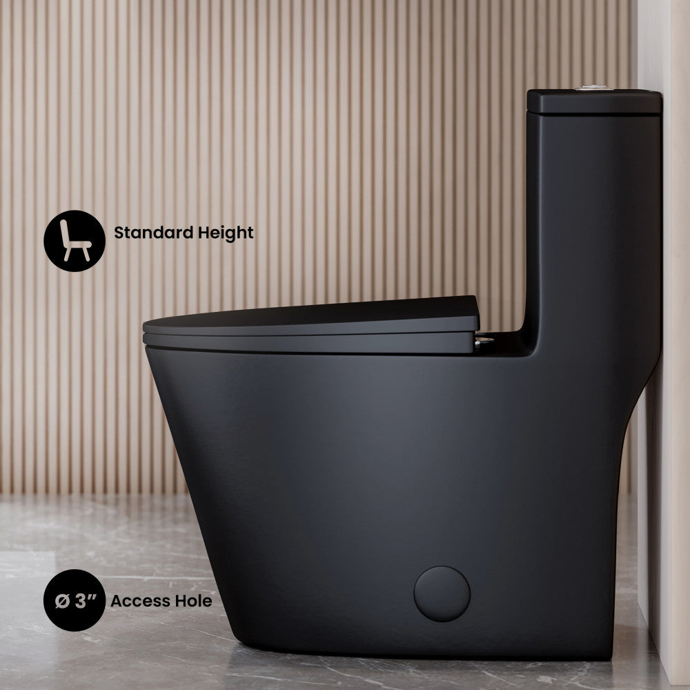 Dreux One Piece Elongated Dual Flush Toilet with 0.95/1.26 GPF in Matte Black