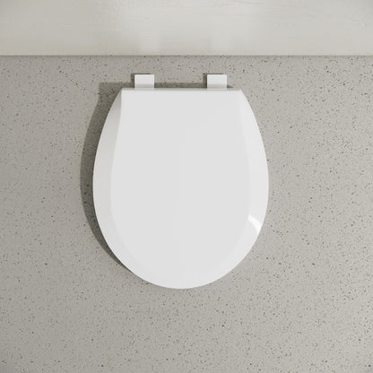 Round Toilet Seat with Toddler Seat Built In, Family Toilet Seat in Glossy White