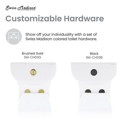 Elongated one-piece toilet with dual flush and brushed gold hardware.