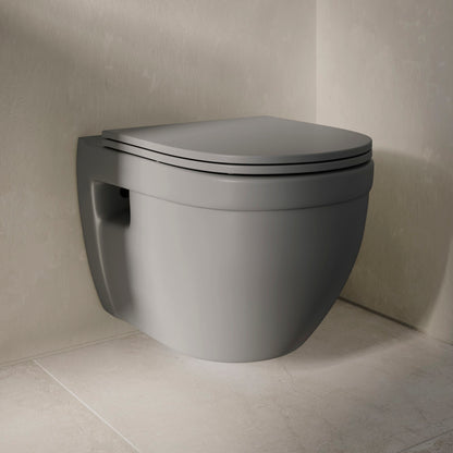 Ivy Wall-Hung Toilet Bowl Only in Matte Gray
