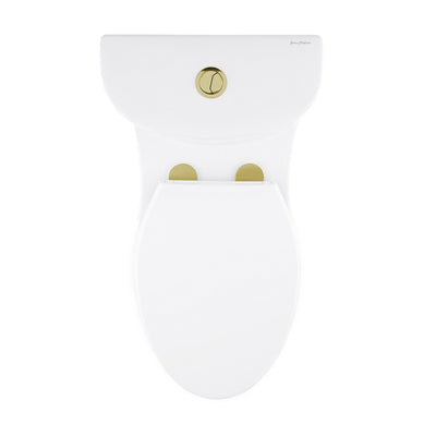 Sublime One Piece Elongated Toilet Dual Flush, Brushed Gold Hardware 1.1/1.6 gpf