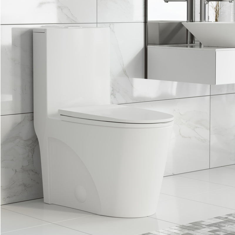 St. Tropez One-Piece Elongated Toilet Vortex Dual-Flush 1.1/1.6 gpf