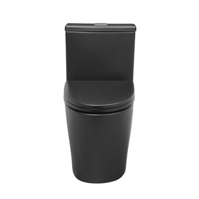 Dreux One Piece Elongated Dual Flush Toilet with 0.95/1.26 GPF in Matte Black