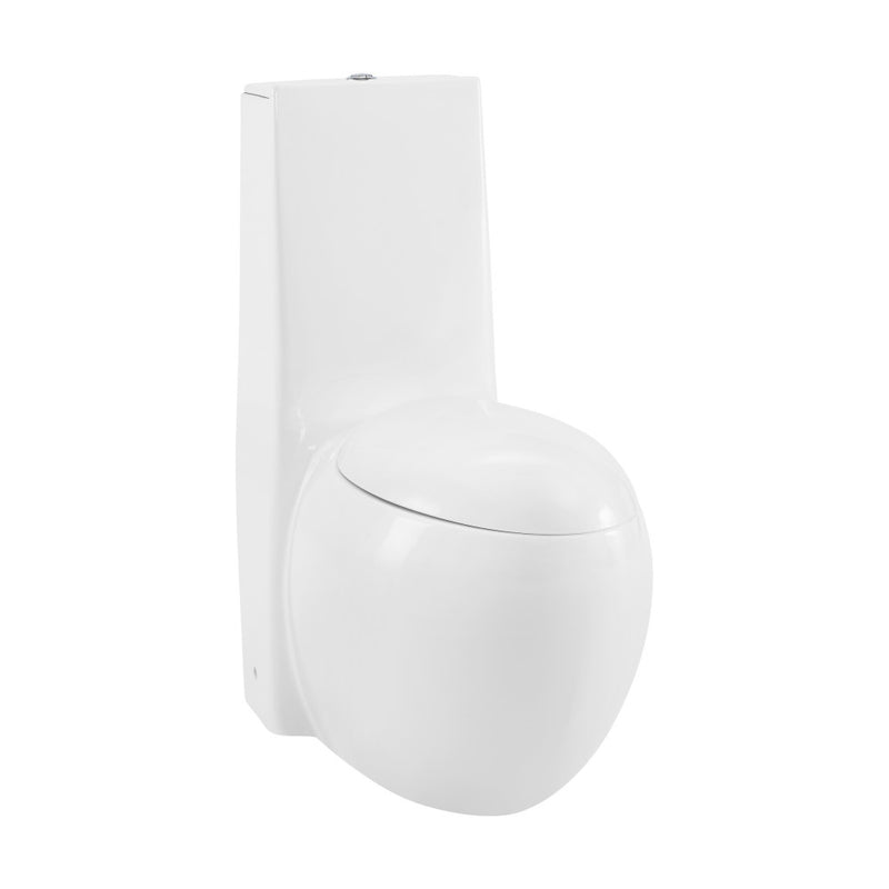 Plaisir One-Piece Elongated Toilet Dual-Flush 1.1/1.6 gpf