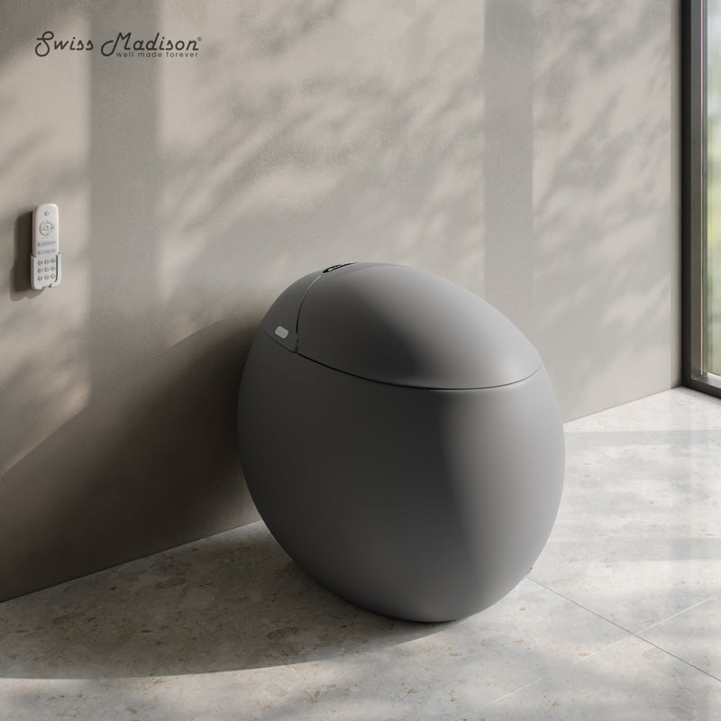 Plaisir Smart One-Piece 1.28 GPF Single Flush Toilet in Matte Gray