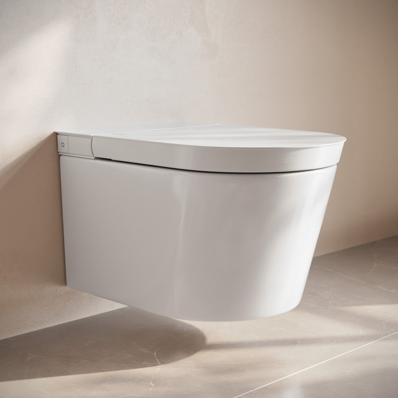 Hugo H Wall-Hung Toilet in Glossy White with Supporting Frame