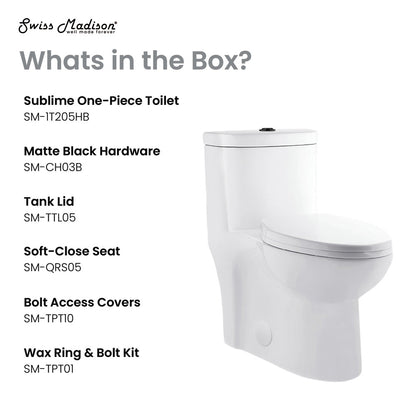 Elongated one-piece toilet with dual flush, matte black hardware, soft-close seat.