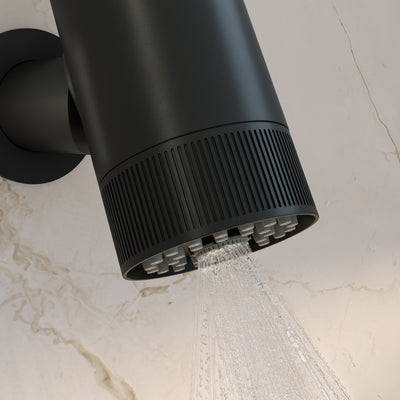 Lumiere 2-Spray Patterns 2.5 GPM Wall Mount Fixed Shower Head in Matte Black