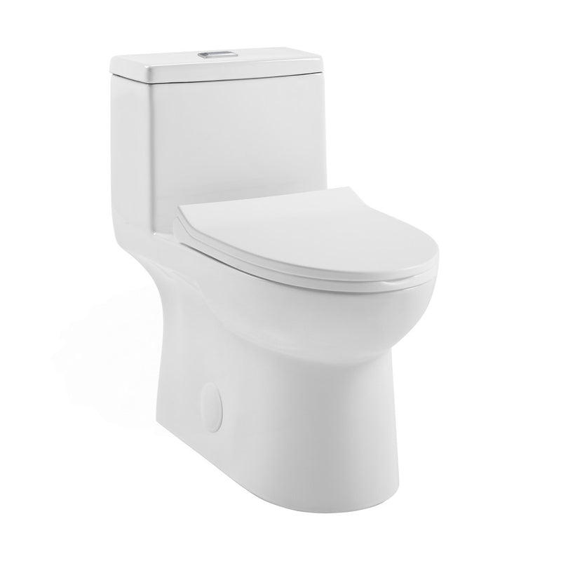 Daxton One Piece Elongated Dual Flush Toilet 1.1/1.6 gpf (6-Pack)