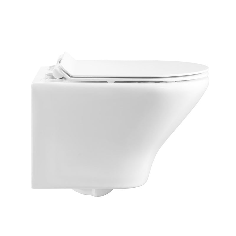 Monaco Wall-Hung Toilet Bundle 0.8/1.6 GPF Dual Flush in Glossy White with Brass Flush Plate