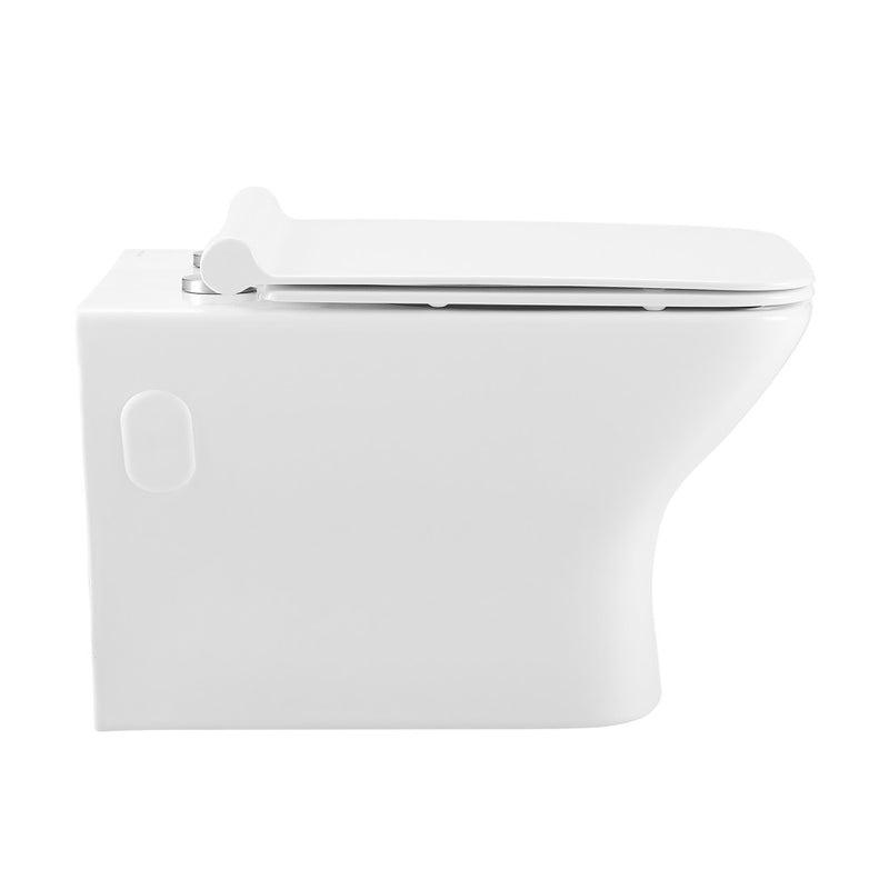 Carre Wall-Hung Toilet Bundle 0.8/1.6 GPF Dual Flush in Glossy White with Brass Flush Plate