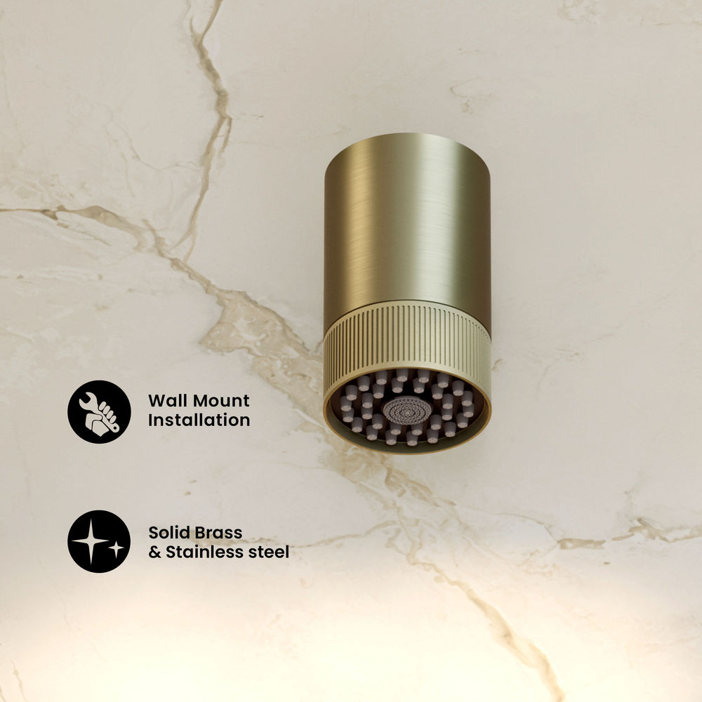 Lumiere 2-Spray Patterns 2.5 GPM Wall Mount Fixed Shower Head in Brushed Gold