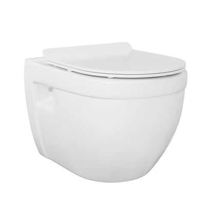 Ivy Wall-Hung Toilet Bundle 0.8/1.6 GPF Dual Flush in Glossy White with Brass Flush Plate