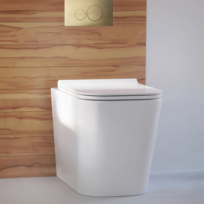 Concorde Back-to-Wall Toilet Bundle 0.8/1.6 GPF Dual Flush in Glossy White with Brass Flush Plate